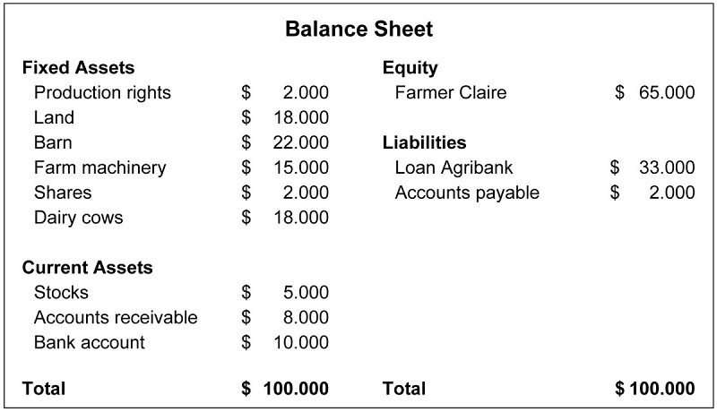 How to make a balance sheet presentation for the company