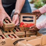 Sustainable Packaging Innovations That Transform Industries