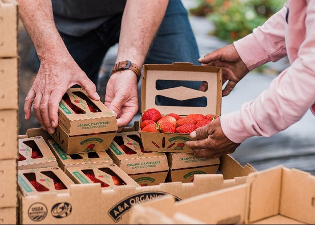 Sustainable Packaging Innovations That Transform Industries